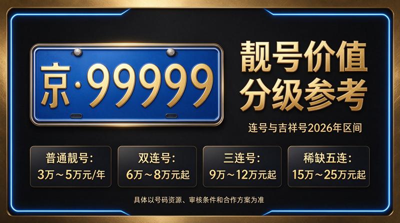 闲置车牌指标业务展示图